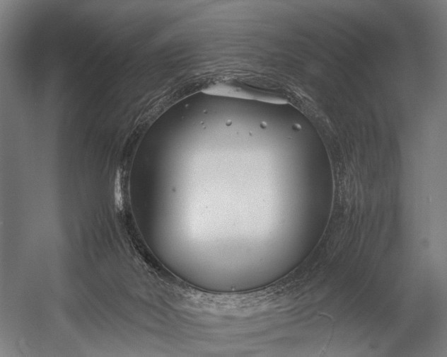 X0000053010026200507221325