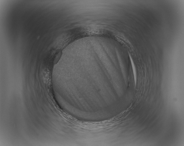 X0000053010029200507221325