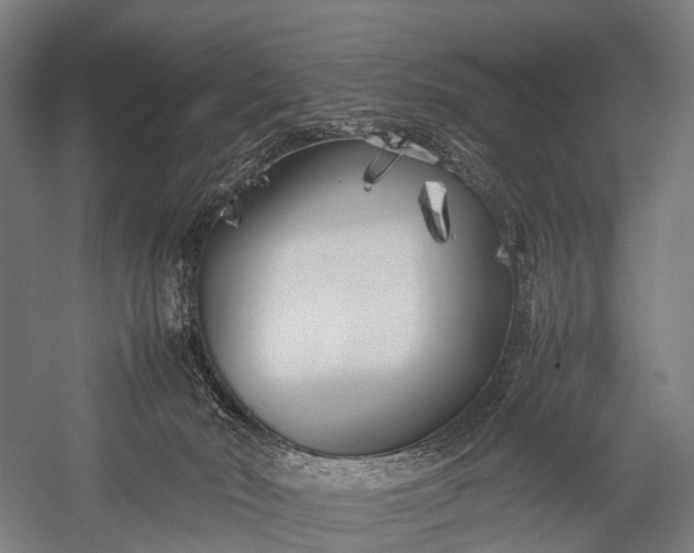 X0000053010030200507221325