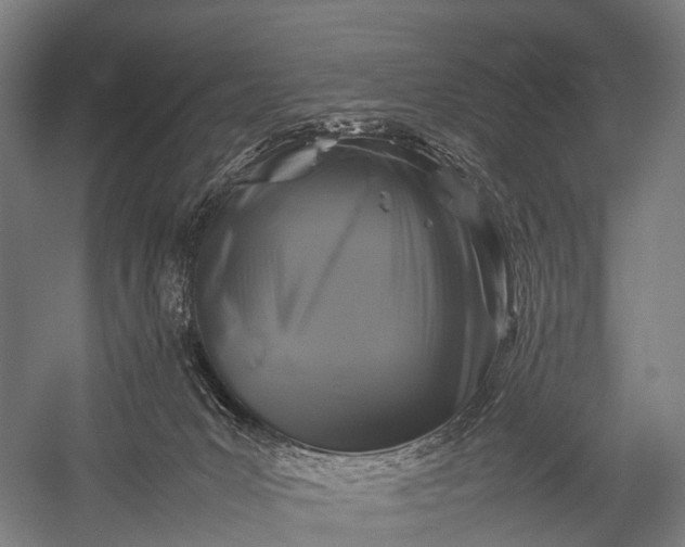 X0000053010031200507221325