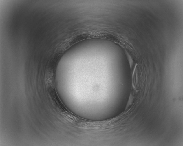 X0000053010033200507221325