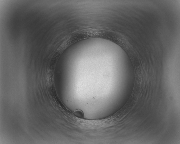 X0000053010034200507221325