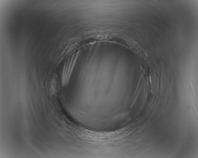 X0000053010035200507221325