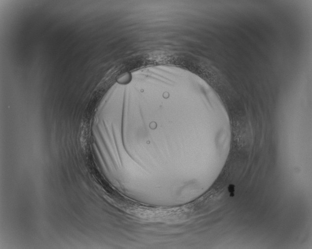 X0000053010036200507221325