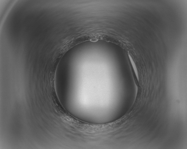 X0000053010037200507221325