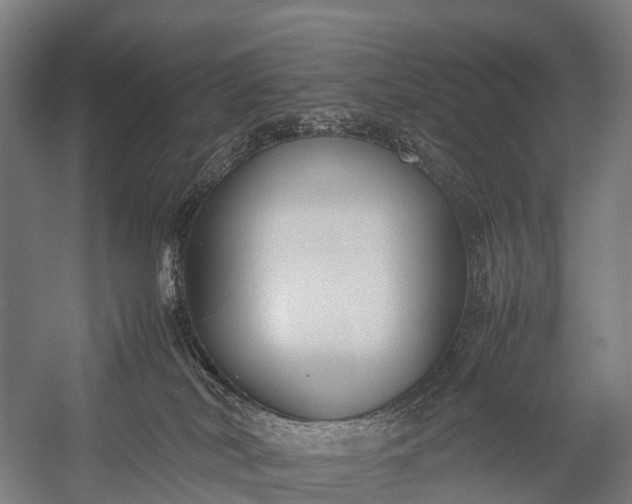 X0000053010038200507221325