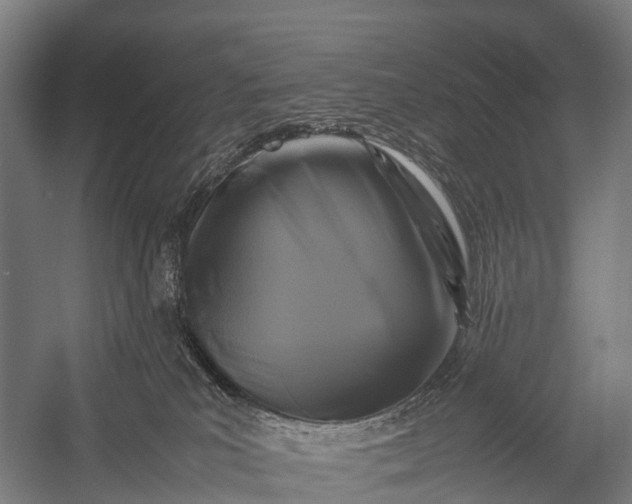 X0000053010039200507221325