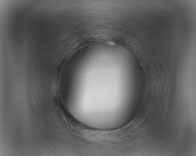 X0000053010040200507221325