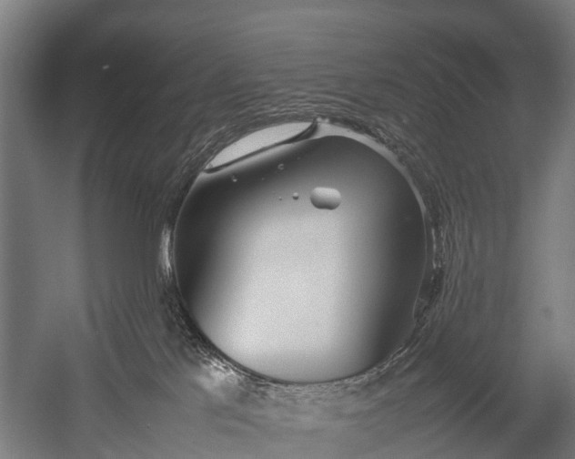 X0000053010041200507221325