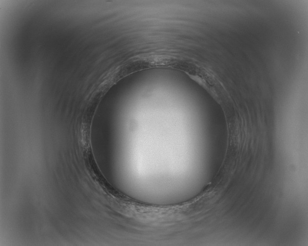 X0000053010044200507221325