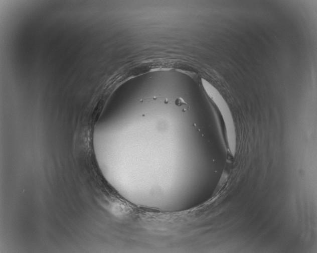 X0000053010045200507221325