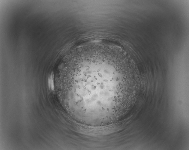 X0000053010046200507221325