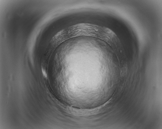 X0000053010047200507221325