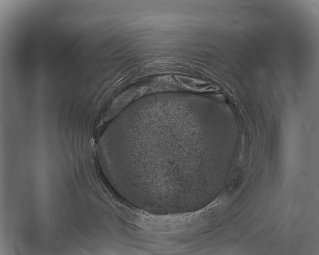 X0000053010048200507221325