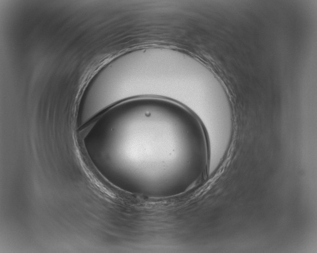 X0000053010049200507221324