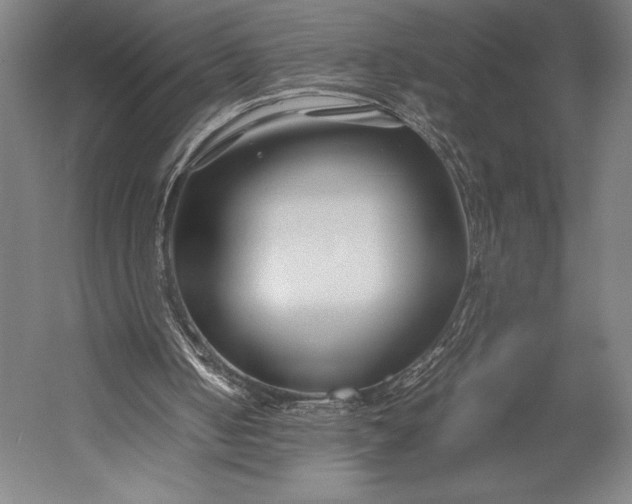 X0000053010050200507221324