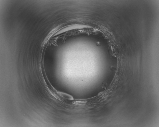 X0000053010051200507221324