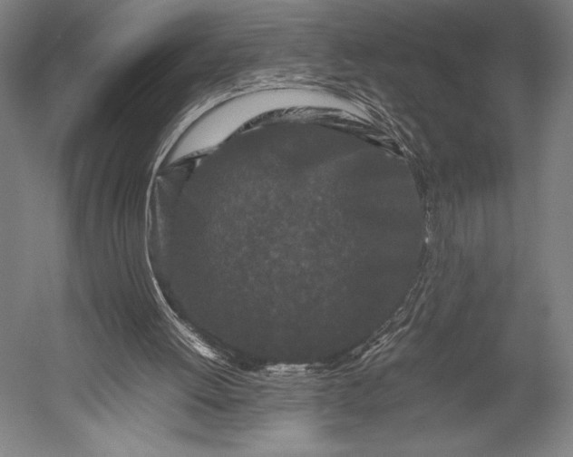 X0000053010052200507221324