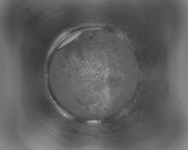 X0000053010053200507221324