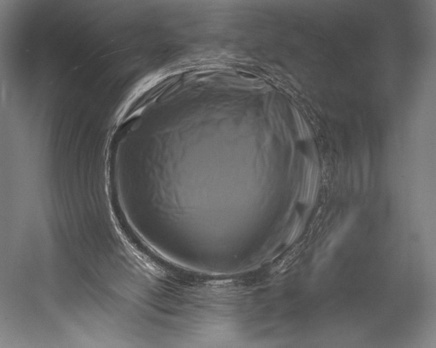 X0000053010054200507221324