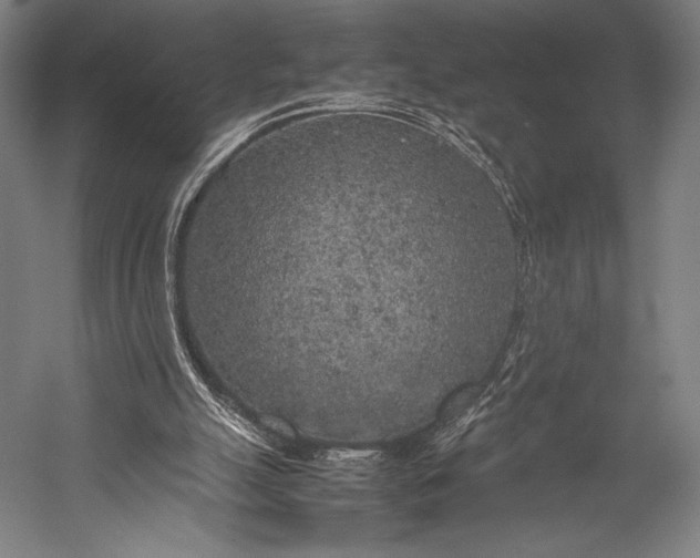 X0000053010055200507221324