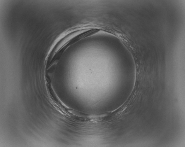 X0000053010056200507221324