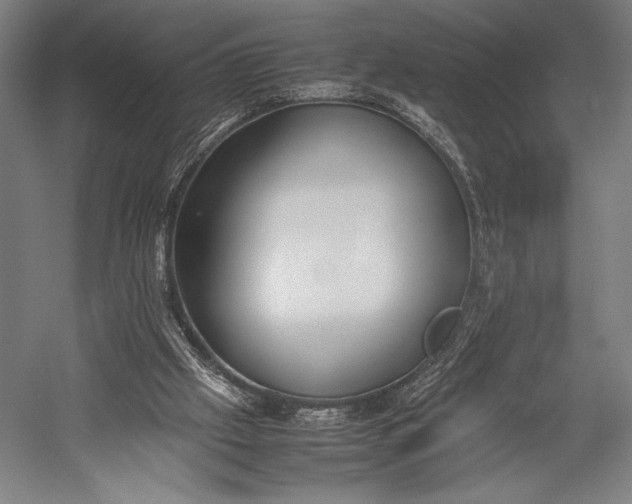 X0000053010057200507221324