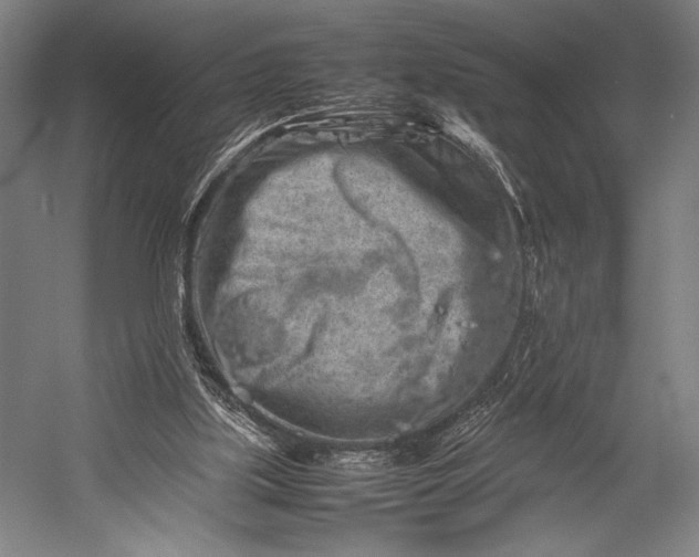 X0000053010059200507221324