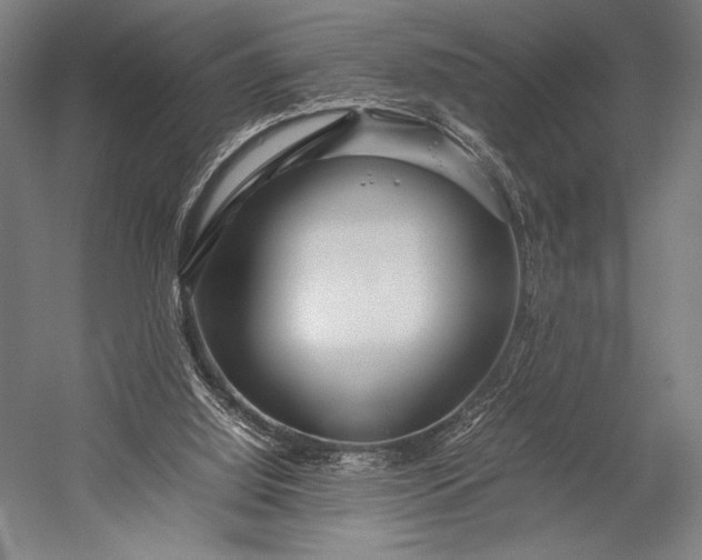 X0000053010060200507221324