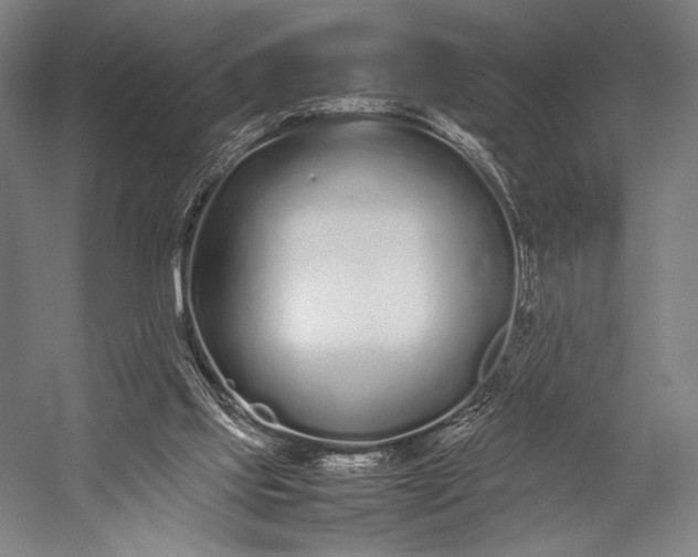 X0000053010061200507221324