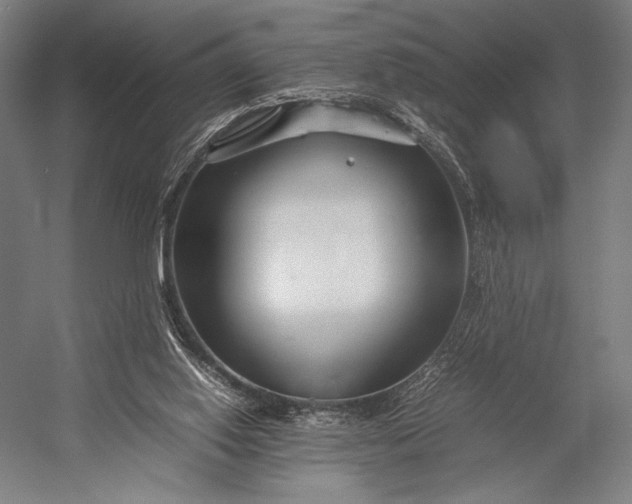 X0000053010062200507221324