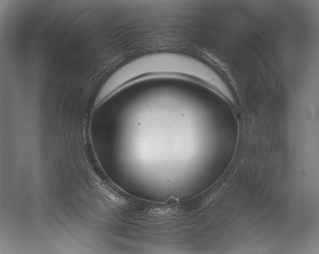 X0000053010065200507221324