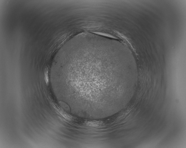 X0000053010069200507221324