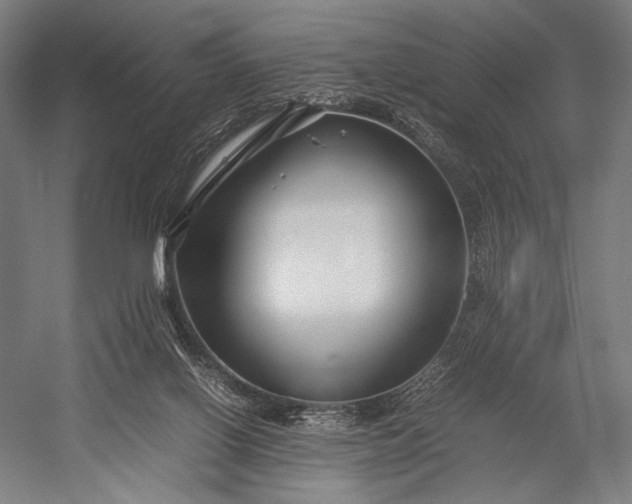 X0000053010070200507221324