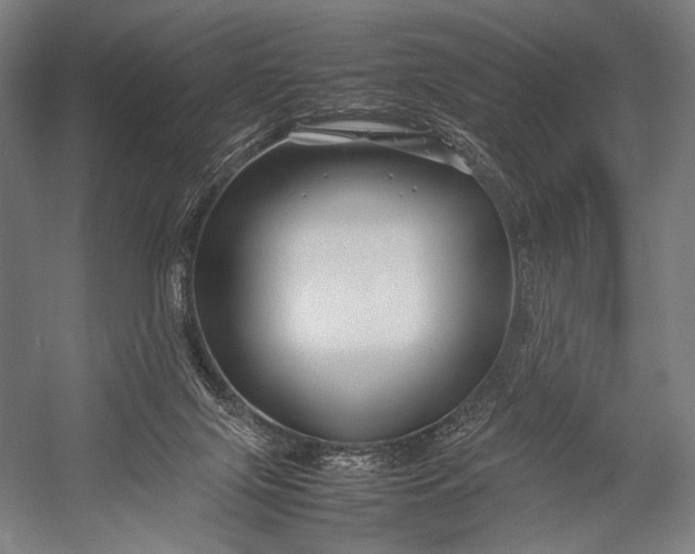 X0000053010071200507221324