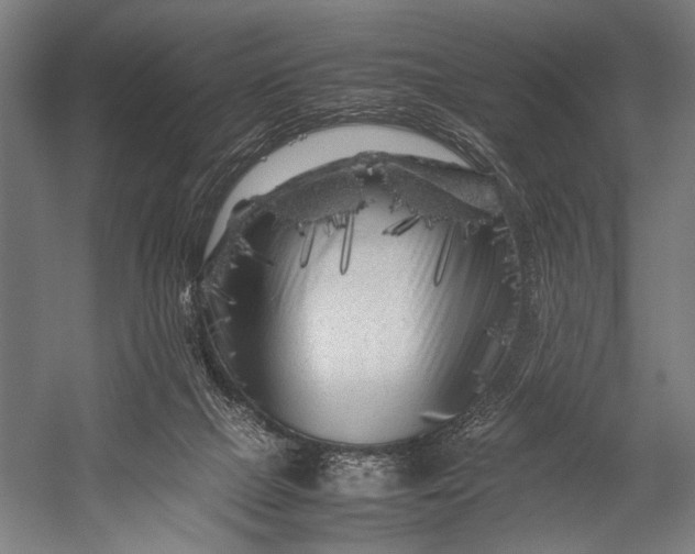 X0000053010073200507221324