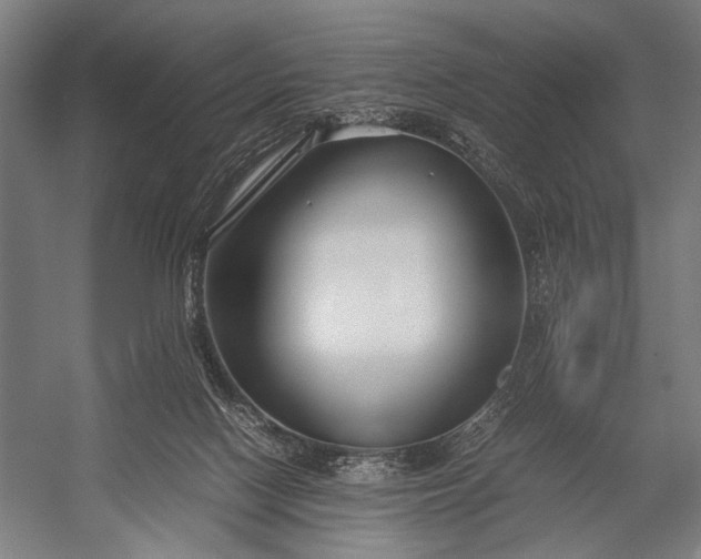 X0000053010074200507221324