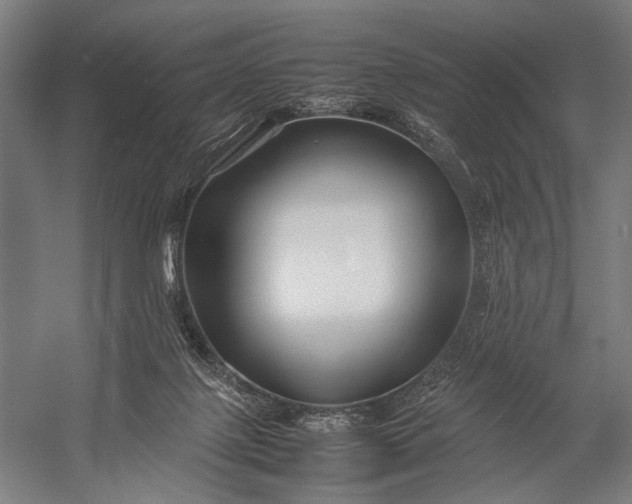 X0000053010075200507221324