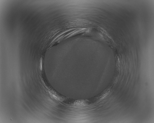 X0000053010076200507221324