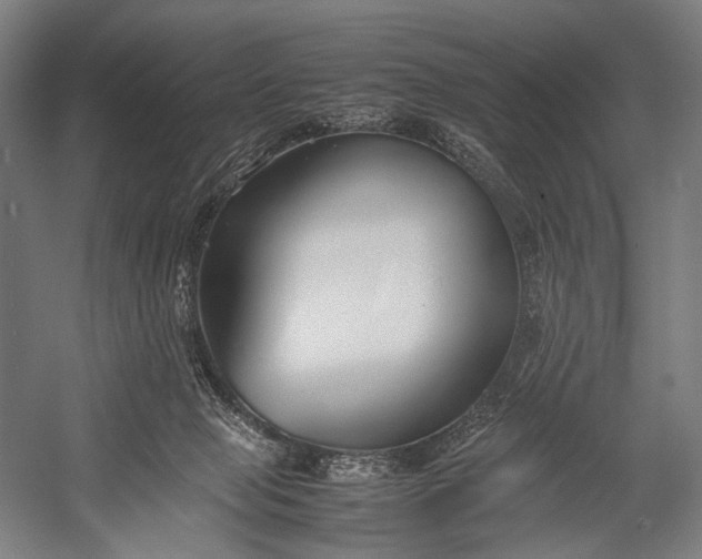 X0000053010077200507221324