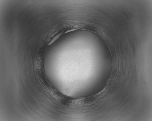 X0000053010078200507221324