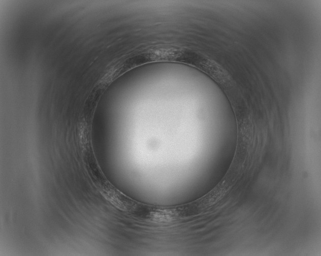 X0000053010079200507221324