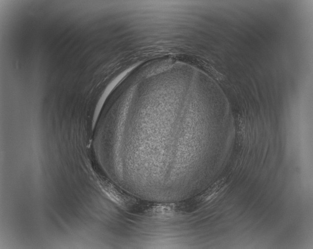 X0000053010080200507221324