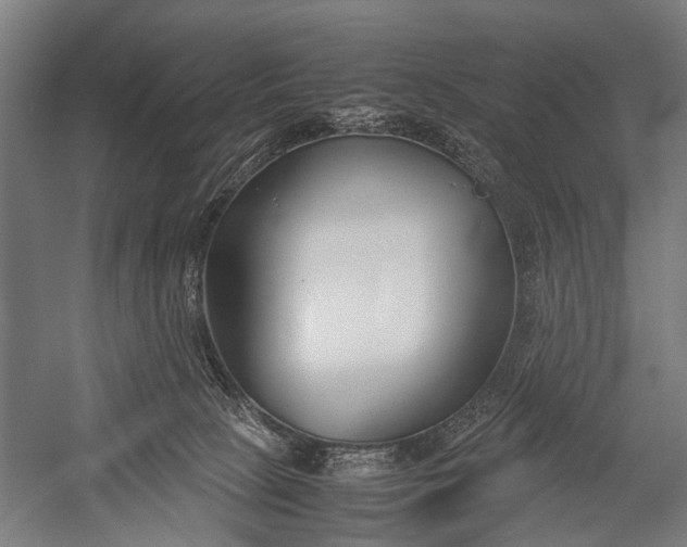 X0000053010081200507221324