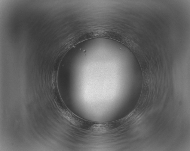 X0000053010082200507221324