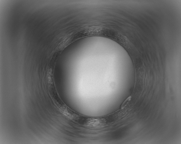 X0000053010083200507221324