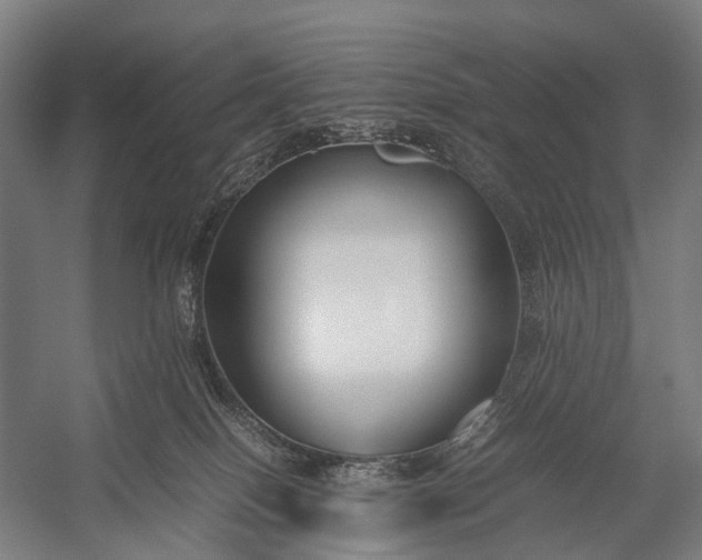 X0000053010086200507221324