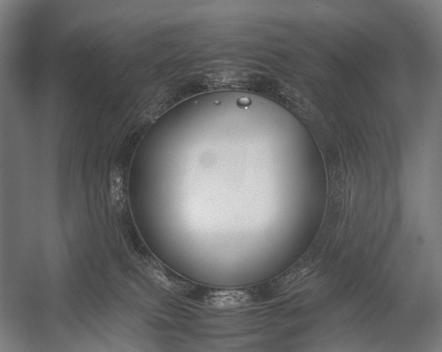 X0000053010087200507221324