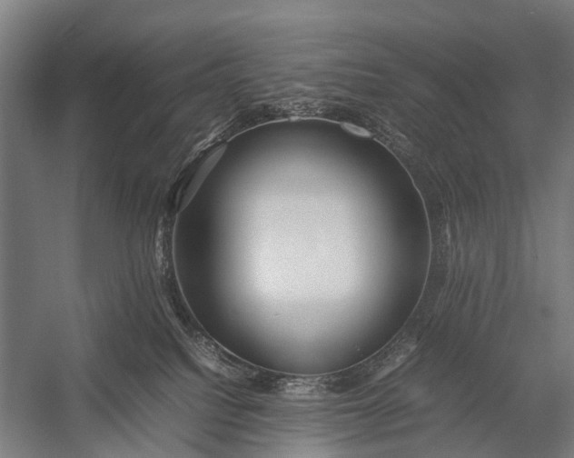 X0000053010088200507221324