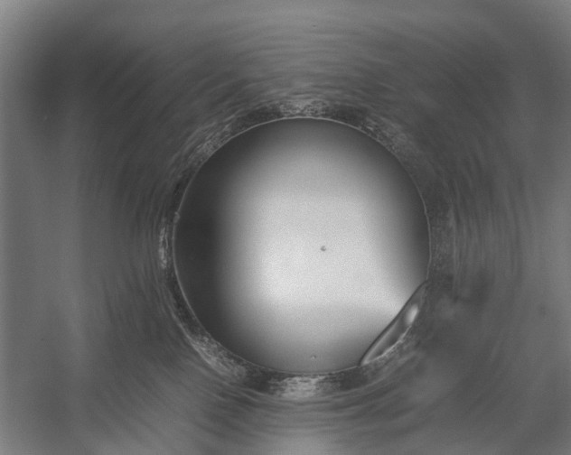 X0000053010090200507221324